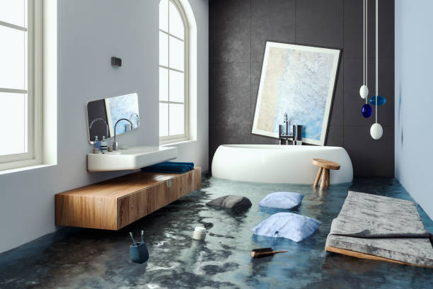 Best Local water damage restoration  in Barrington, IL