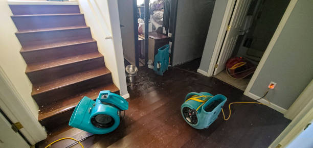 Best Sewage cleanup and water damage restoration  in Barrington, IL