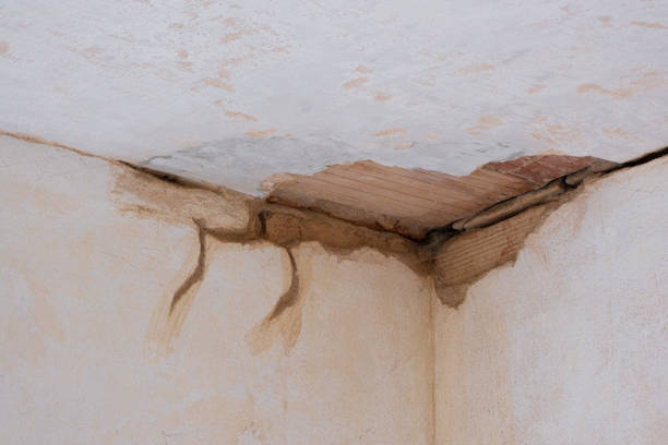 Best Ceiling water damage repair  in Barrington, IL
