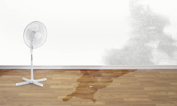 Best 24-hour water damage restoration  in Barrington, IL