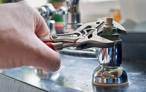Best Flooded house restoration  in Barrington, IL