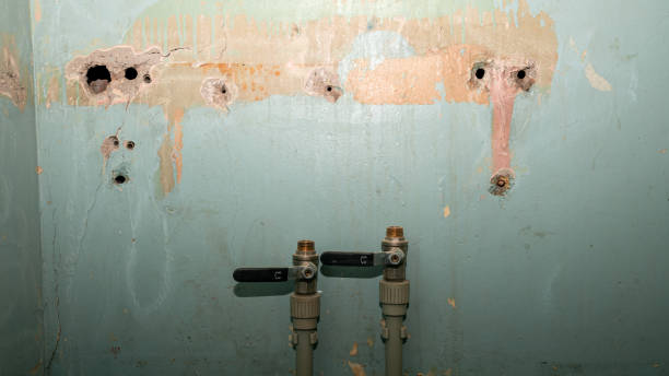 Best Basement water damage restoration  in Barrington, IL