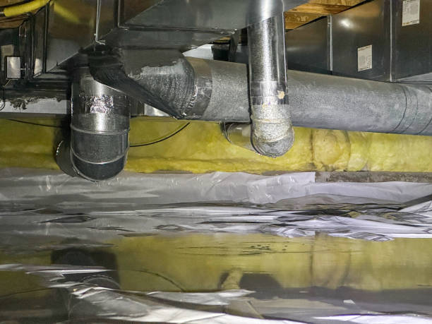 Best Flood damage cleanup  in Barrington, IL