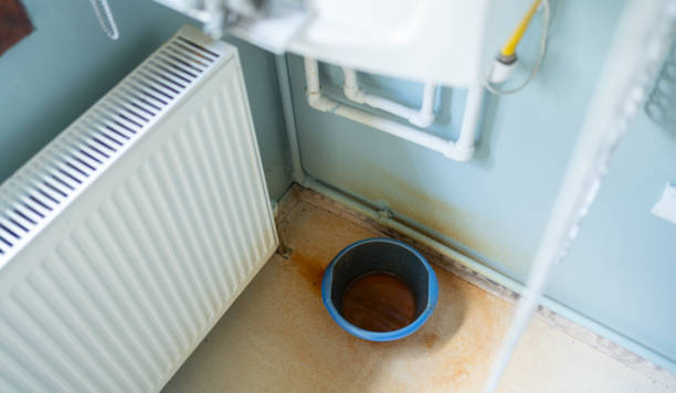 Best Flood restoration services  in Barrington, IL