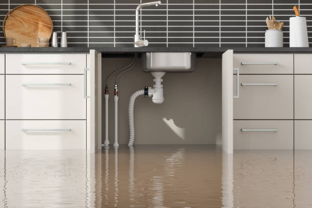 Water damage restoration mold remediation in IL